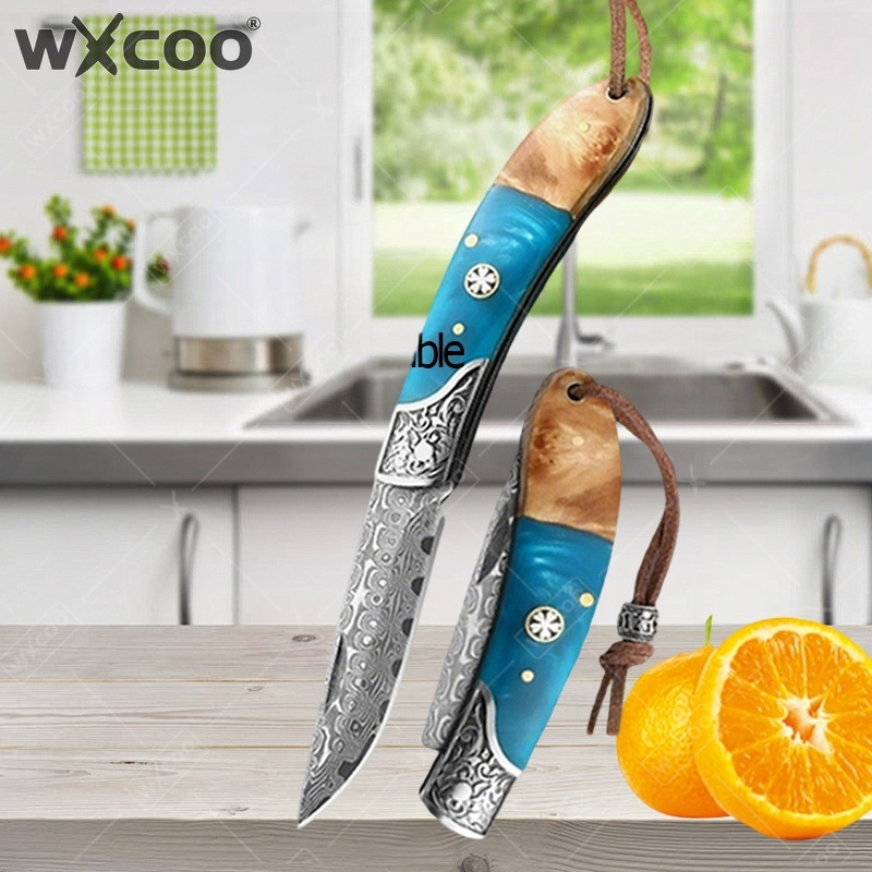 Kitchen Gadgets Gift - WXCOO Damascus Steel Folding Pocket Knife